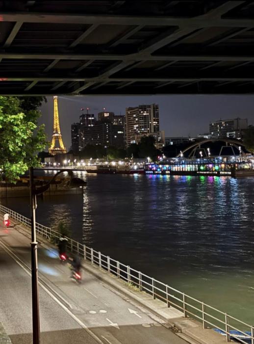 Fantin Latour Confortable 2p Seine Et Tour Eiffel Appartement